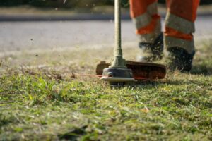 service charge covers grass maintenance