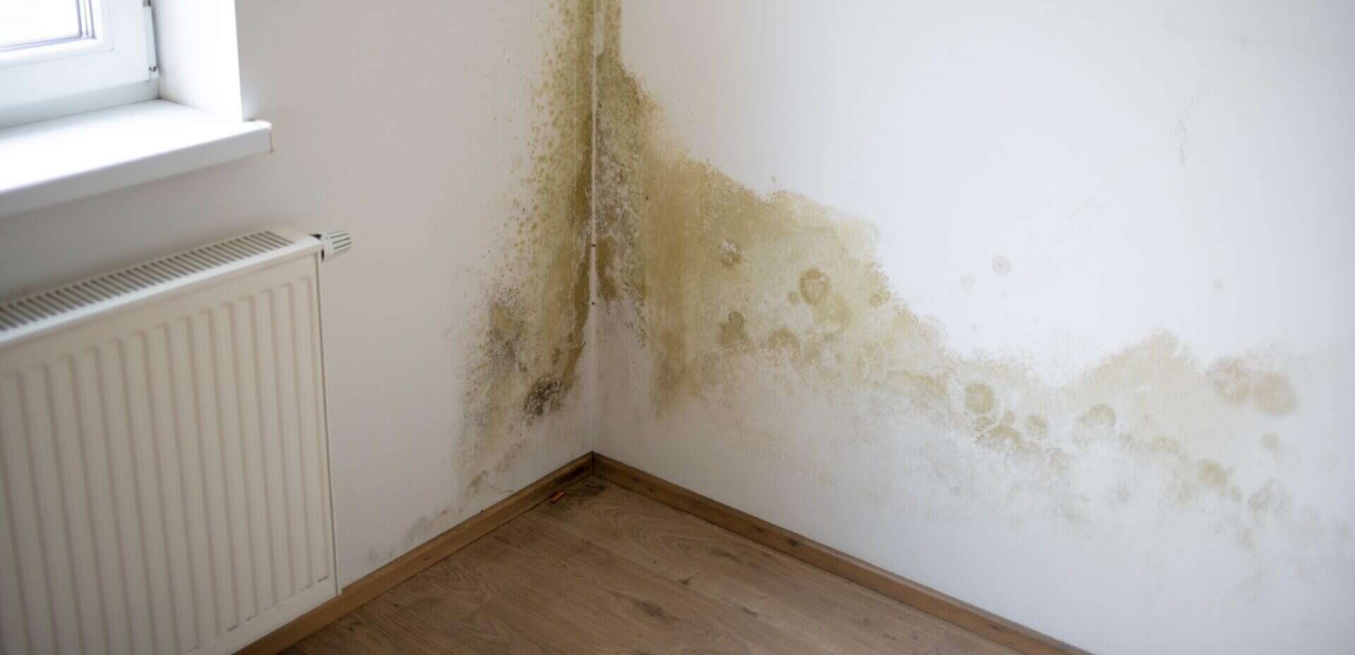 Dampness in flats, causes and remedies | Strangford Management